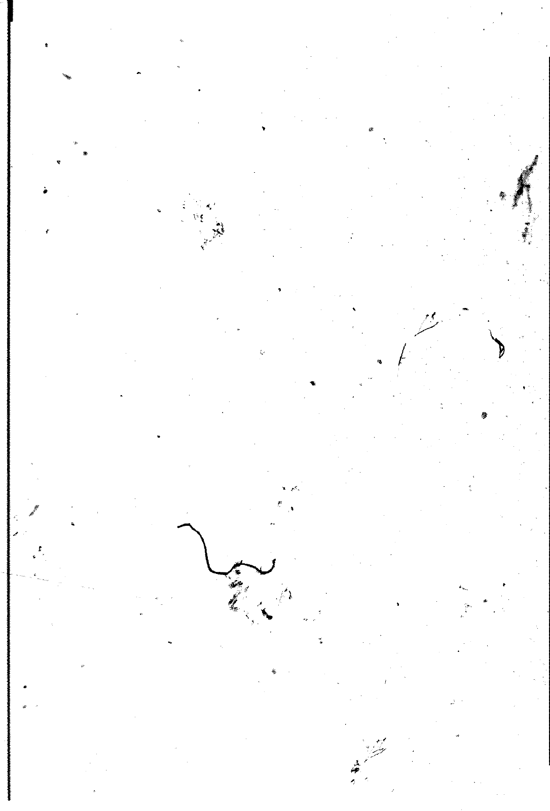 Vorschau Golf Cabrio  Mod. 84-93 Seite 455