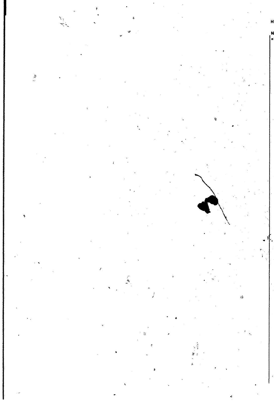 Vorschau Golf Cabrio  Mod. 84-93 Seite 1012