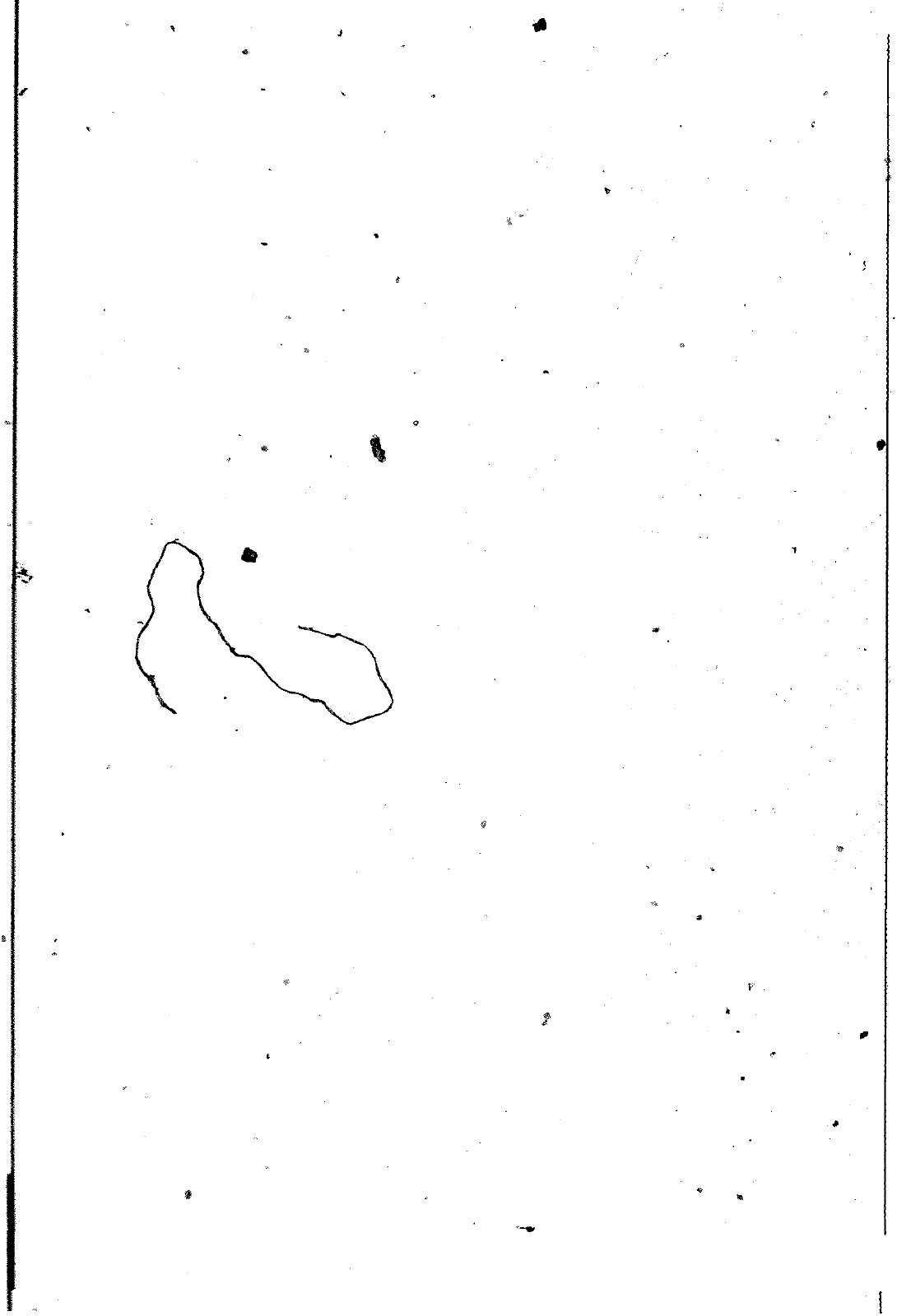 Vorschau Golf Cabrio  Mod. 84-93 Seite 445