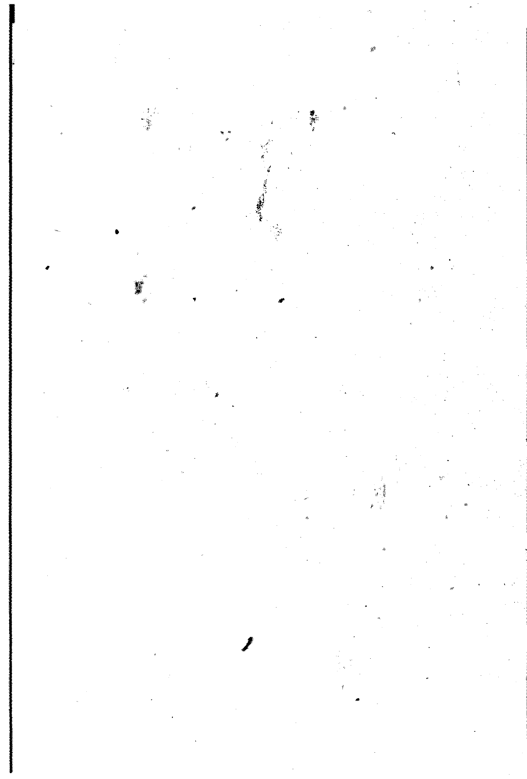 Vorschau Golf Cabrio  Mod. 84-93 Seite 499