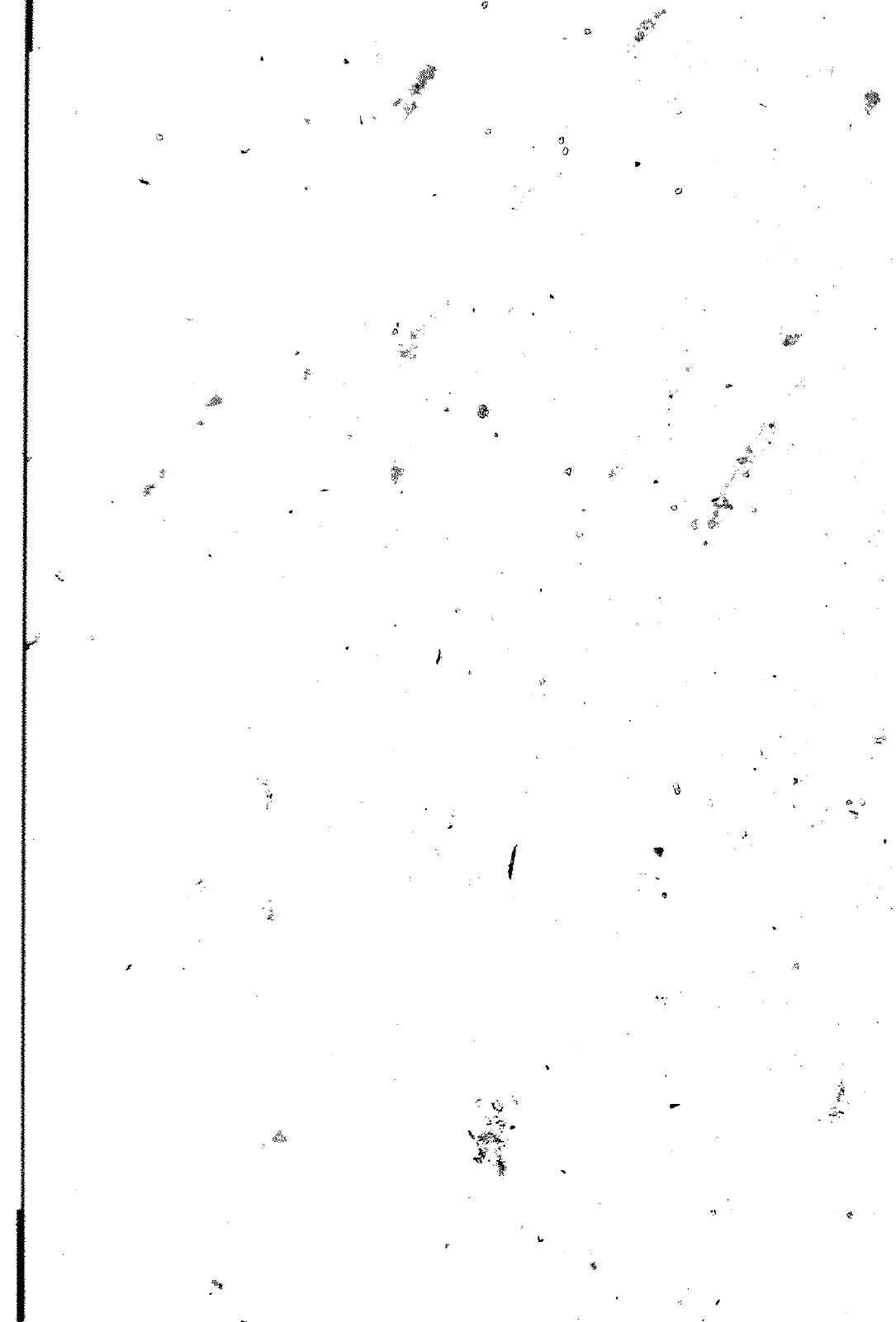 Vorschau Golf Cabrio  Mod. 84-93 Seite 1018