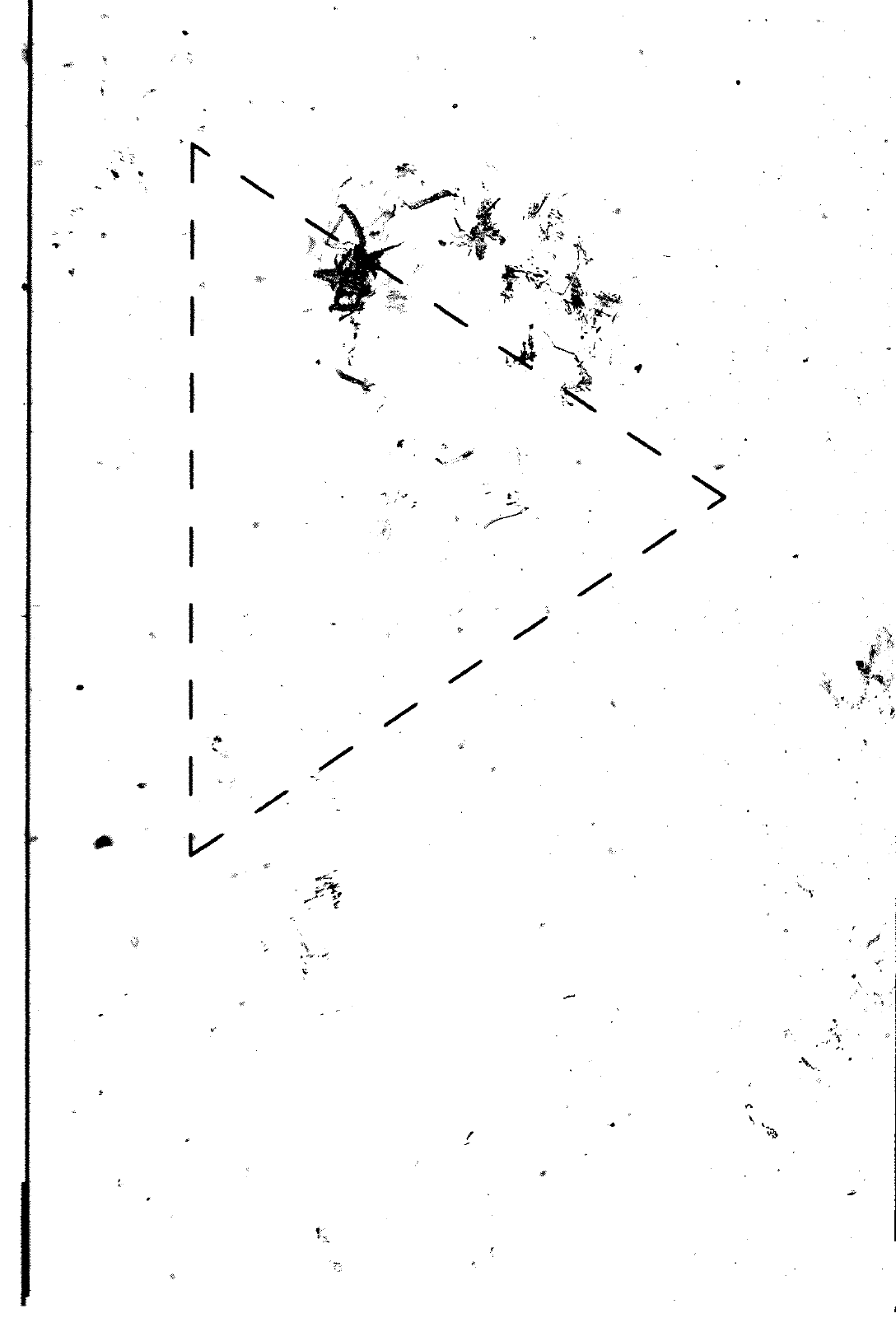 Vorschau Golf Cabrio  Mod. 84-93 Seite 57