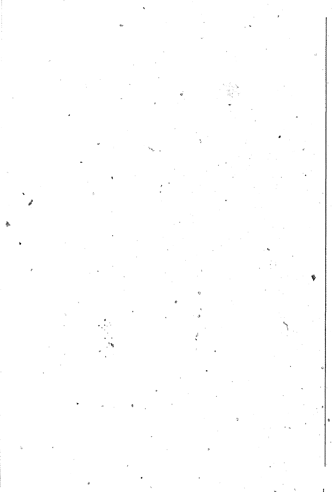 Vorschau Golf Cabrio  Mod. 84-93 Seite 1014