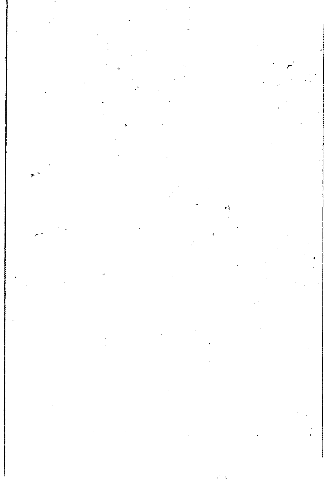 Vorschau Lastentransporter LT F-28-D-007 273 Seite 249