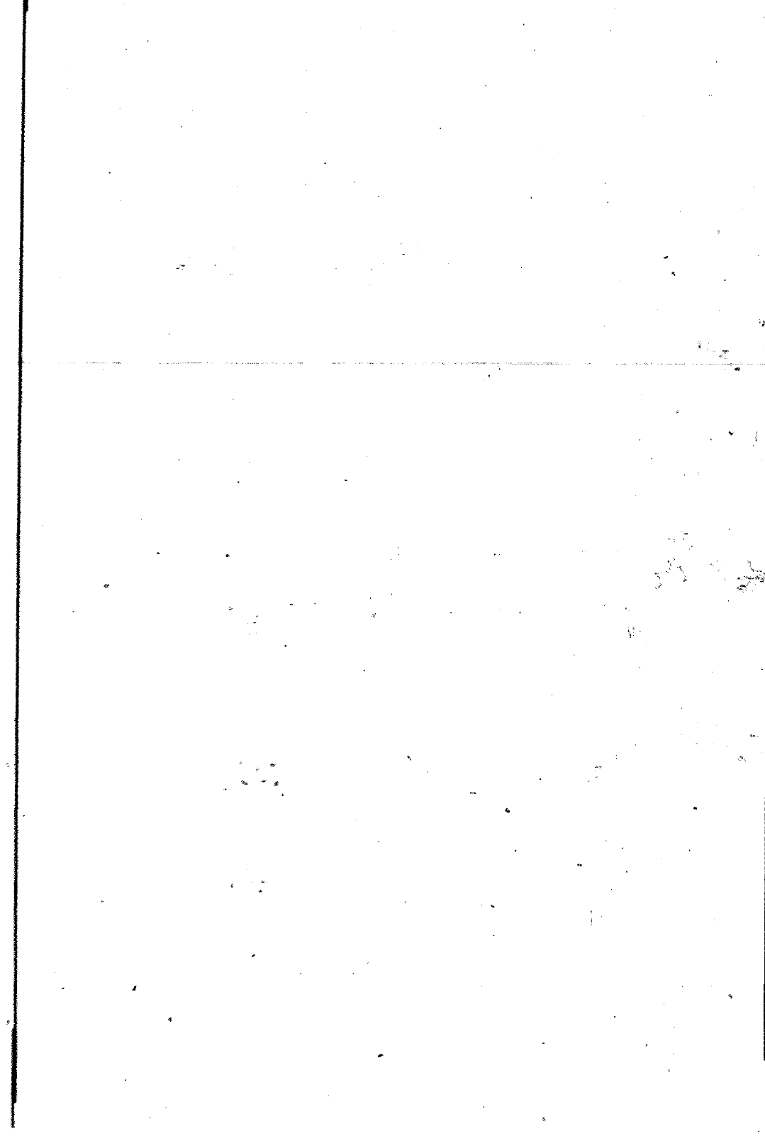 Vorschau Lastentransporter LT F-28-D-007 273 Seite 241